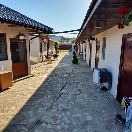 Pagini Din Vama ホームステイ *