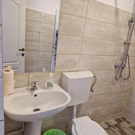 ホームステイ Pagini Din Vama *