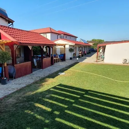 Pagini Din Vama