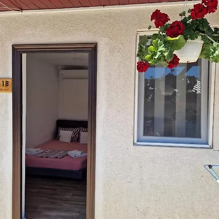 Pagini Din Vama * Vama Veche